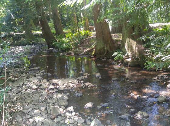 Scott Creek Farm allows check-in for 18 year-old guests