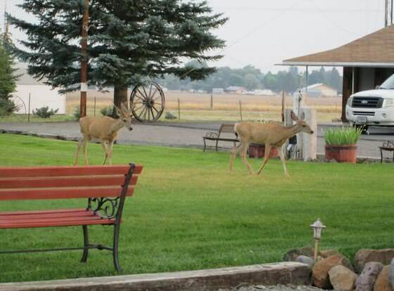 Rim Rock Motel allows check-in for 18 year-old guests