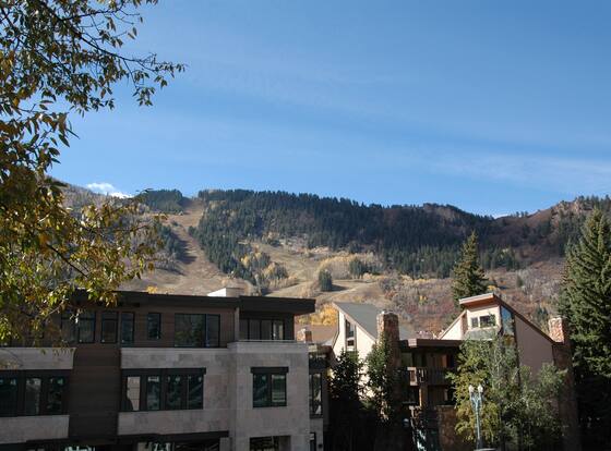 Concept 600 by Frias Properties allows check-in for 18 year-old guests