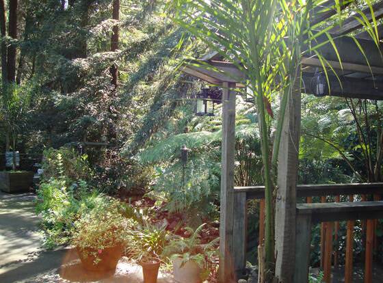 Daisy's Guest House allows check-in for 18 year-old guests