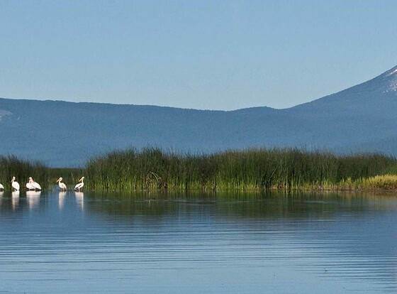 Great Smarthouse-King-Family Friendly allows check-in for 18 year-old guests