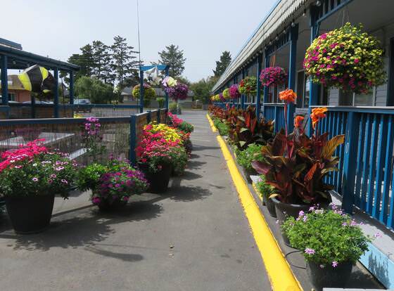 Mermaid Inn allows check-in for 18 year-old guests