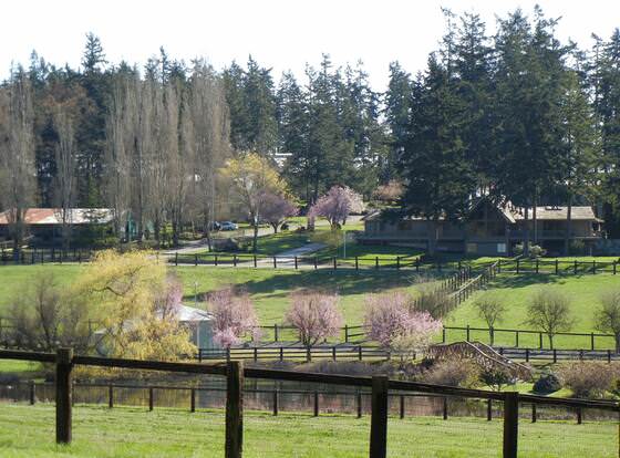 Wildwood Farm B&B allows check-in for 18 year-old guests