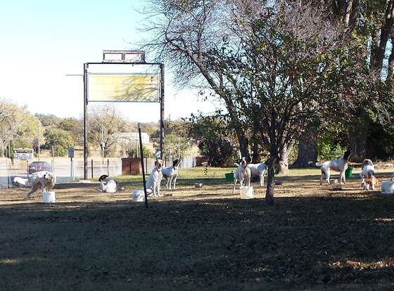 The Evergreen Inn - Motel and RV Park allows check-in for 18 year-old guests