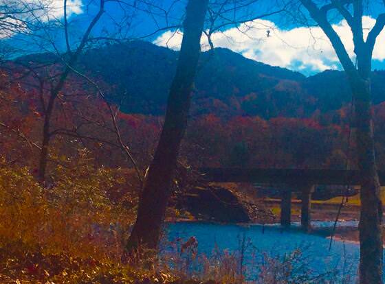 Mountain of Dreams At Lavista Cove allows check-in for 18 year-old guests