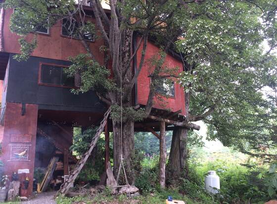 Cottonwood Cabins allows check-in for 18 year-old guests