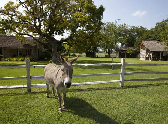 Settlers Crossing allows check-in for 18 year-old guests