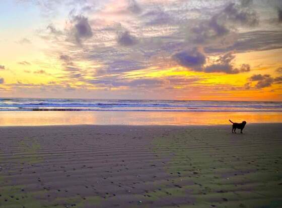 Pacific Motel and RV allows check-in for 18 year-old guests