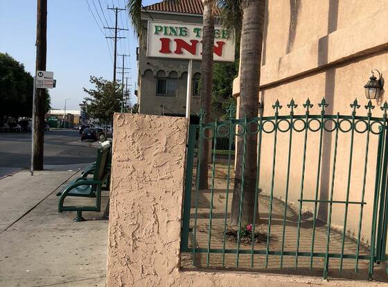 Pine Tree Inn allows check-in for 18 year-old guests