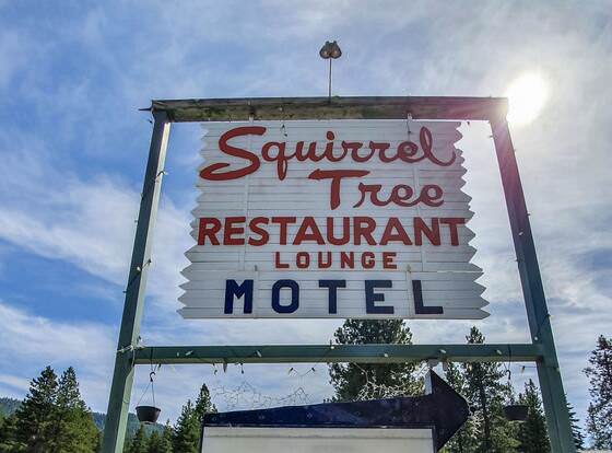 Squirrel Tree Resort allows check-in for 18 year-old guests