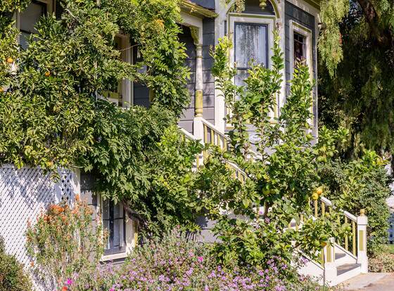 Madison Street Inn B&B allows check-in for 18 year-old guests