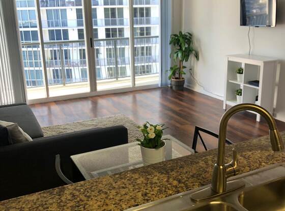 One Bedroom Apartment in Skyrise allows check-in for 18 year-old guests