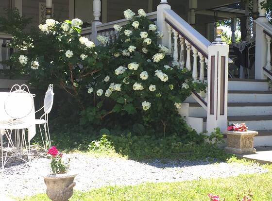 Weaverville Whitmore Inn allows check-in for 18 year-old guests