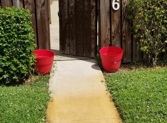 W.F. court yards allows check-in for 18 year-old guests